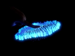 Heng Cheng Electronics Technology ((HK) Co., Ltd.